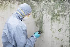 Best Biohazard Mold Removal  in Rose Hills, CA